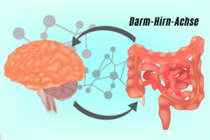 Darm - Hirn - Achse