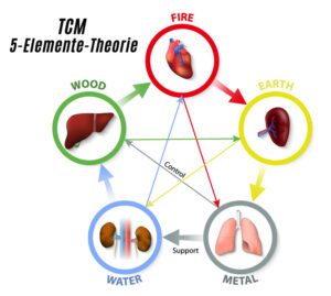 Die fünf Elemente der TCM