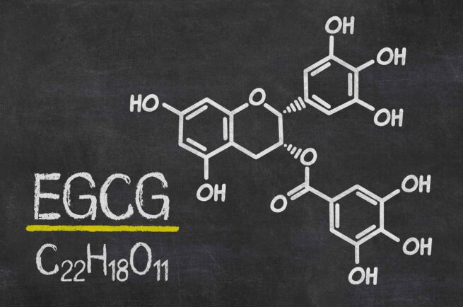 Epigallocatechin-3-gallat (EGCG)